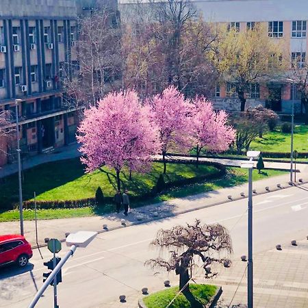 Bella Apartments Kruševac Extérieur photo